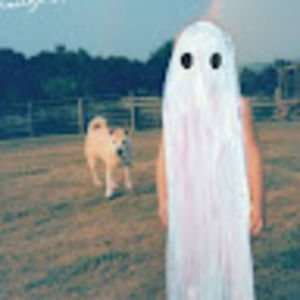 Meet your Posher, Shin-yi